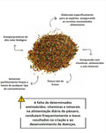 BIOTRON SAPORITO MIX - 5KG