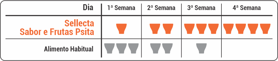 KIT - 2 SELLECTA SABOR E FRUTAS PSITA - 500G CADA