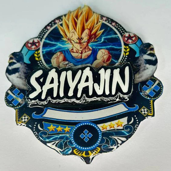 PLACA DE COLEIRO  PERSONALIZADA EM 3D COM NOME DO PÁSSARO