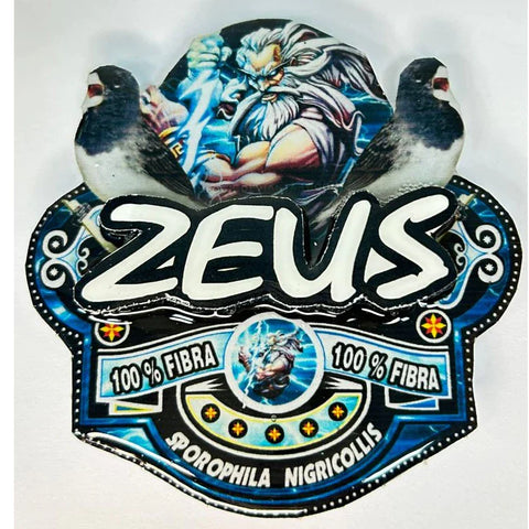 PLACA DE BAIANO P. BRANCO PERSONALIZADA EM 3D COM O NOME DO PÁSSARO