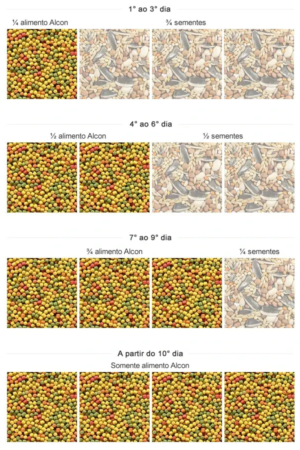 KIT - ALCON CLUB CURIÓ - 6 unidades de 325g cada